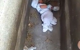 Bé trai 2 tháng tuổi bị mẹ vứt bỏ trong nghĩa trang có nhiều chó hoang gây phẫn nộ