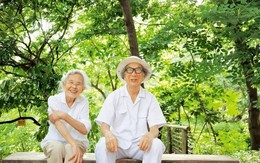 Cặp vợ chồng già bỏ phố về quê tận hưởng cuộc sống bên ngôi nhà vườn rợp bóng cây xanh khiến người người ngưỡng mộ