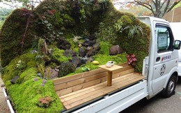 Xe tải cũ hỏng biến thành vườn cây xanh mát đẹp mê li, một lần nữa người Nhật lại khiến thế giới phải choáng váng