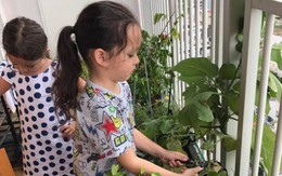 Căn hộ với hệ thống trồng rau sạch thông minh ở ban công của Diva Hồng Nhung giữa lòng Sài Gòn