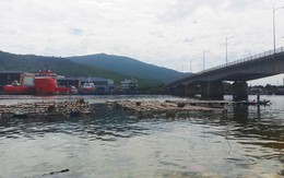 Phát hiện thi thể phụ nữ bị trói chặt tay chân ở Đà Nẵng