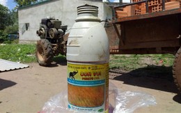 Thanh niên 17 tuổi tự tử sau khi vô cớ đánh người