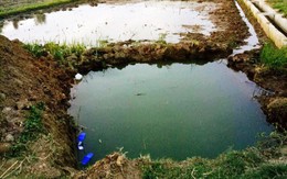 Nghệ An: Rơi xuống hố đào chôn cột điện, hai bé trai đuối nước thương tâm