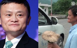 'Bản sao' Jack Ma bán nấm dại bên đường