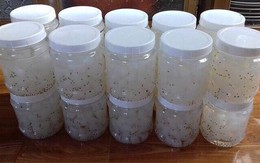 Làm thạch dừa cho con ăn, mẹ bất ngờ kiếm được gần 1.000 USD