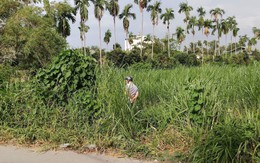 Phát hiện thi thể người đàn ông đang phân hủy trong bãi cỏ ở Sài Gòn