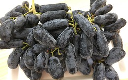 Những loại quả tránh ăn vào buổi tối để tránh nguy hại sức khoẻ