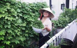 Nhớ món ăn quê hương, mẹ Việt ở Nhật quyết trồng vườn "bội thu" rau quả sạch, nhìn mê ngay