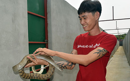 Mới 25 tuổi, chàng trai Đồng Nai đã làm chủ đàn rắn 10.000 con, kiếm hàng tỷ đồng mỗi năm