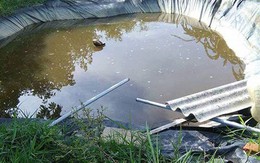 4 trẻ tử vong vì cái 'bẫy' chết người trong vườn nhà