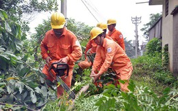 Giảm thiểu 81/300 trường hợp vi phạm hành lang lưới điện ở Hà Nội