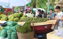 Bán vài giờ hết cả tấn trái cây ở ‘chợ nổi’ Sài Gòn