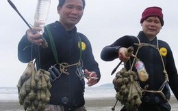 Đi lặn bắt rum biển kiếm tiền triệu/ngày