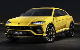 "Lamborghini' Tàu long lanh hơn hàng xịn giá 350 triệu