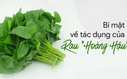 Loại cây dân dã được gọi là rau "Hoàng hậu" nhờ 6 tác dụng tuyệt vời có thể bạn chưa biết