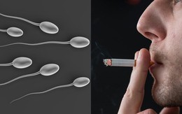 Hút thuốc làm giảm khả năng sinh sản và rối loạn tình dục ở nam giới