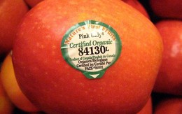 Đừng bao giờ mua trái cây có mã code bắt đầu bằng số 8?