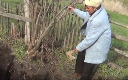 Đào đất trồng khoai, phát hiện bộ xương chồng cũ của vợ