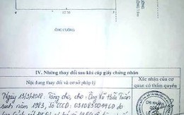Làm giả sổ đỏ, bán trộm nhà của mẹ bạn