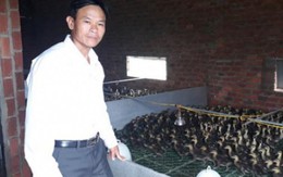 Kiếm nửa tỷ/năm từ vịt trời