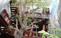 Cận cảnh căn nhà 5 tầng làm hoàn toàn bằng gỗ quý “độc nhất vô nhị” ở Hà Tĩnh
