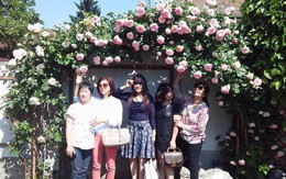 Ai cũng ước được đến thăm khu vườn 250m² nở đầy hoa hồng "khủng" của mẹ Việt ở Séc