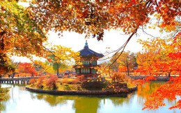 Những địa điểm ngắm lá đỏ đẹp nhất tại Nhật Bản, Hàn Quốc mùa thu này