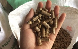 Thái Nguyên: 8x thu lãi 600 triệu đồng/năm nhờ tái sử dụng phế phẩm