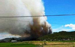 Nghệ An: Hàng trăm người đang nỗ lực dập lửa cứu rừng thông