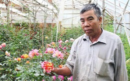Hơn 20 năm "cày cuốc", lão nông Đà Lạt sở hữu khu vườn 8000m² với 400 loại hồng quý hiếm