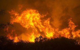 Cháy rừng càn quét dữ dội ở California (Mỹ), 2 lính cứu hỏa thiệt mạng