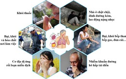 Keo ong Brazil Meldosol - Món quà tuyệt vời cho người mắc bệnh COPD