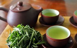 Trà đinh đắt như vàng ròng: Bán dăm cân có ngàn USD, thôn nữ thu bạc tỷ