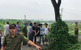 Nam thanh niên tử vong dưới gốc cây, nghi 'sốc' ma túy