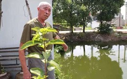 Cứu bé trai đuối nước, cụ ông phát hiện từng cứu bố đứa trẻ 30 năm trước