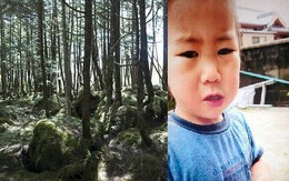 Bé 2 tuổi lạc ba ngày trong rừng Nhật Bản vẫn sống sót