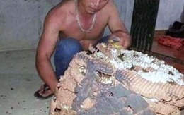 Nghề săn ong chần: Nghề trêu ngươi "thần chết"
