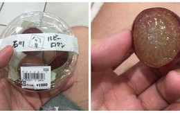 Nho Nhật 11 triệu đồng mỗi chùm bán hết sau một ngày về Sài Gòn  Kinh tế