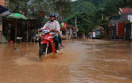 Bùn cao nửa mét sau lũ tại thị trấn ở Nghệ An