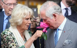 Bà Camilla: Không là hoàng hậu trong lòng công chúng nhưng là người bạn đời hoàn hảo nhất của Thái tử Charles vì đức tính tuyệt vời này