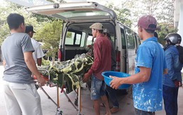 Nam thanh niên bị điện giật, ngã từ tầng 3 xuống đất