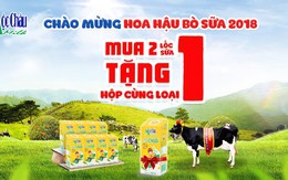 Mộc Châu Milk: Hành trình 60 năm mang dòng sữa tươi ngon đến triệu gia đình Việt