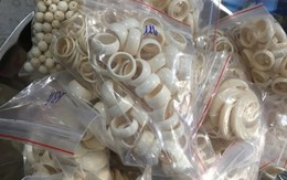 Khởi tố người đàn ông bán hơn 10 kg nhẫn, vòng làm từ ngà voi