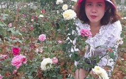 Từ trồng cho vui để ngắm, cô gái Sơn La đã có vườn hồng đáng giá vài tỷ đồng