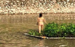 Xác minh nguyên nhân khiến cô gái cởi đồ nhảy múa giữa sông Tô Lịch