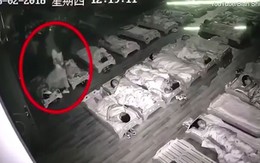 Giáo viên mầm non giẫm chân đi giày lên mặt học sinh