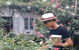 Ngỡ ngàng với ngôi nhà hoa hồng đẹp như cổ tích của ông bố trẻ ở Hưng Yên