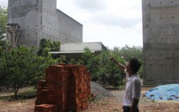 Chim yến về xôn xao, có người thu 6 tỷ/năm nhưng...ồn quá
