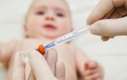 Thông tin chính thức về vắc-xin 5 trong 1 thay thế vắc-xin Quivaxem