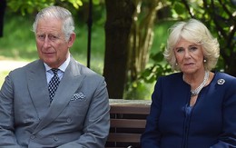 Thêm bằng chứng khẳng định bà Camilla có khả năng bị chồng đuổi ra khỏi cung điện hoàng gia, mọi hoạt động bị "đóng băng"